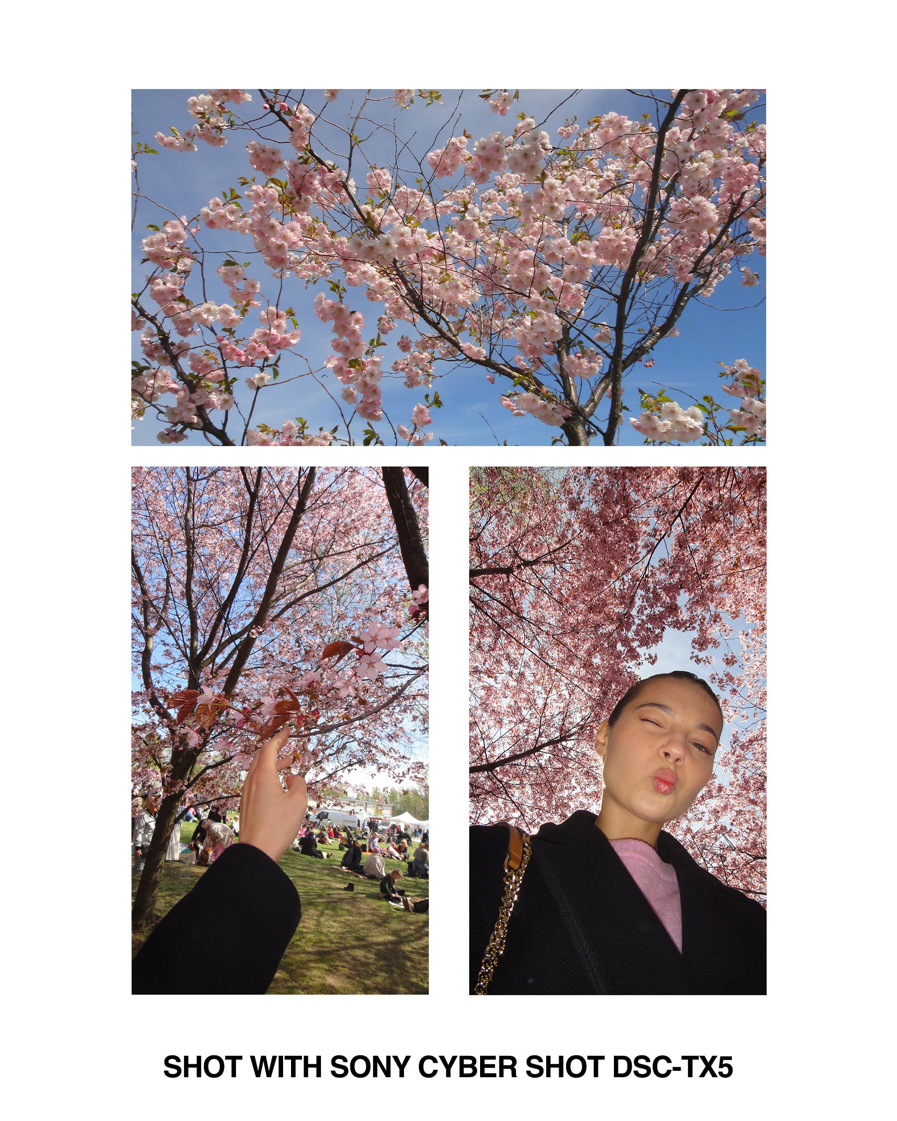 Sony Cyber Shot DSC-TX5