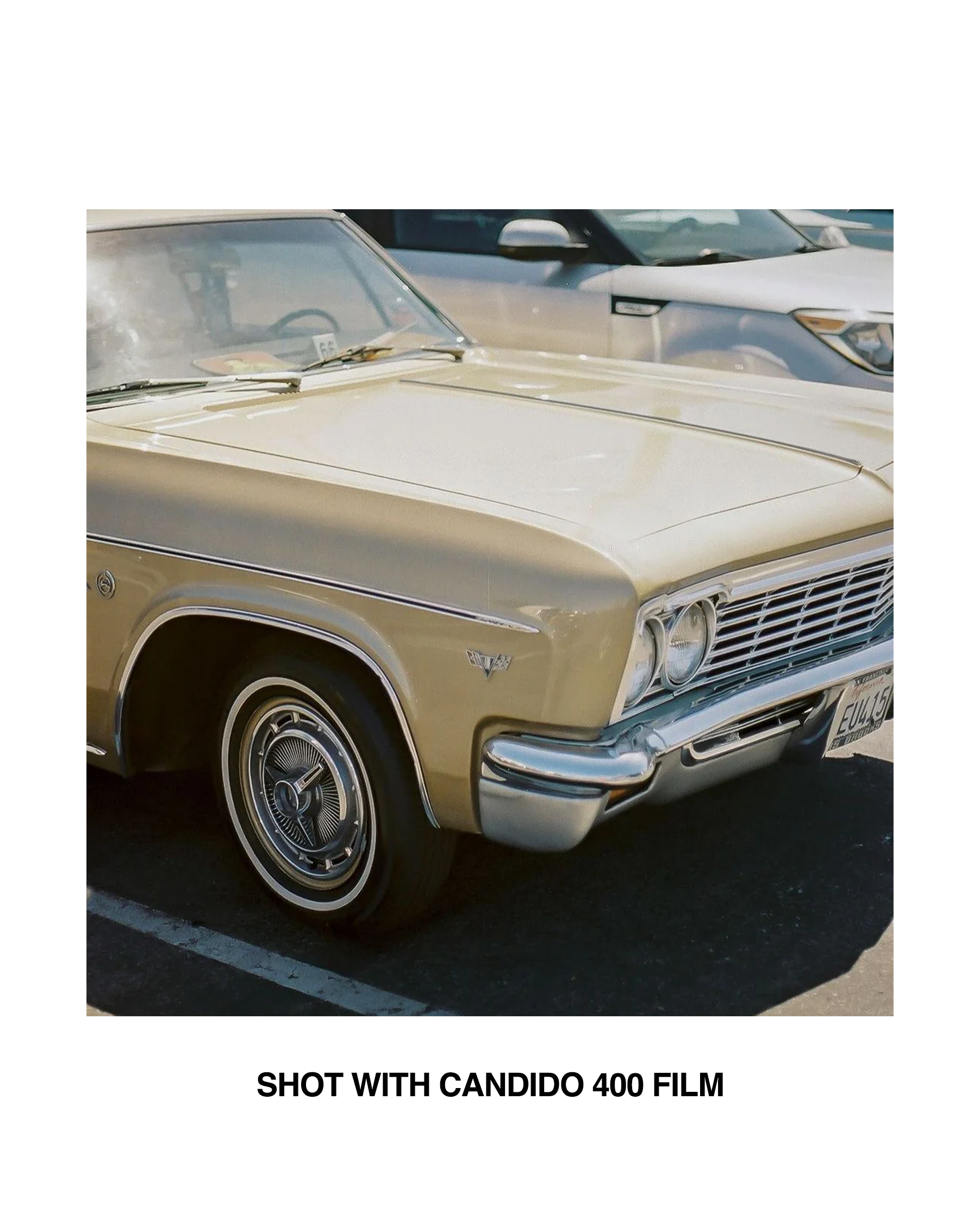 Candido400 Colour Film