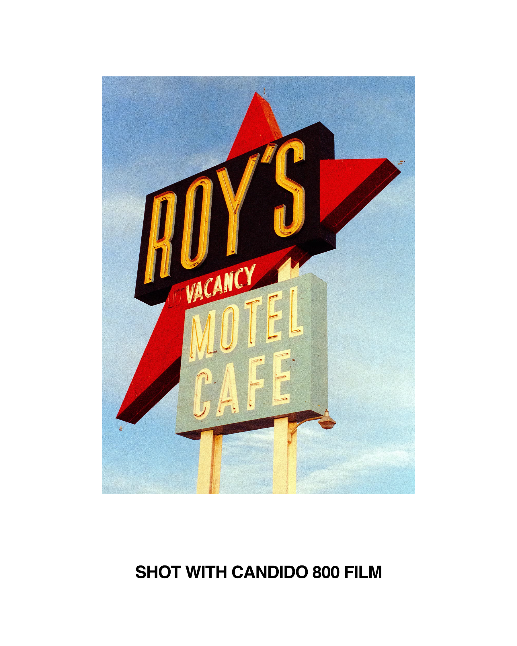 Candido800 Colour Film