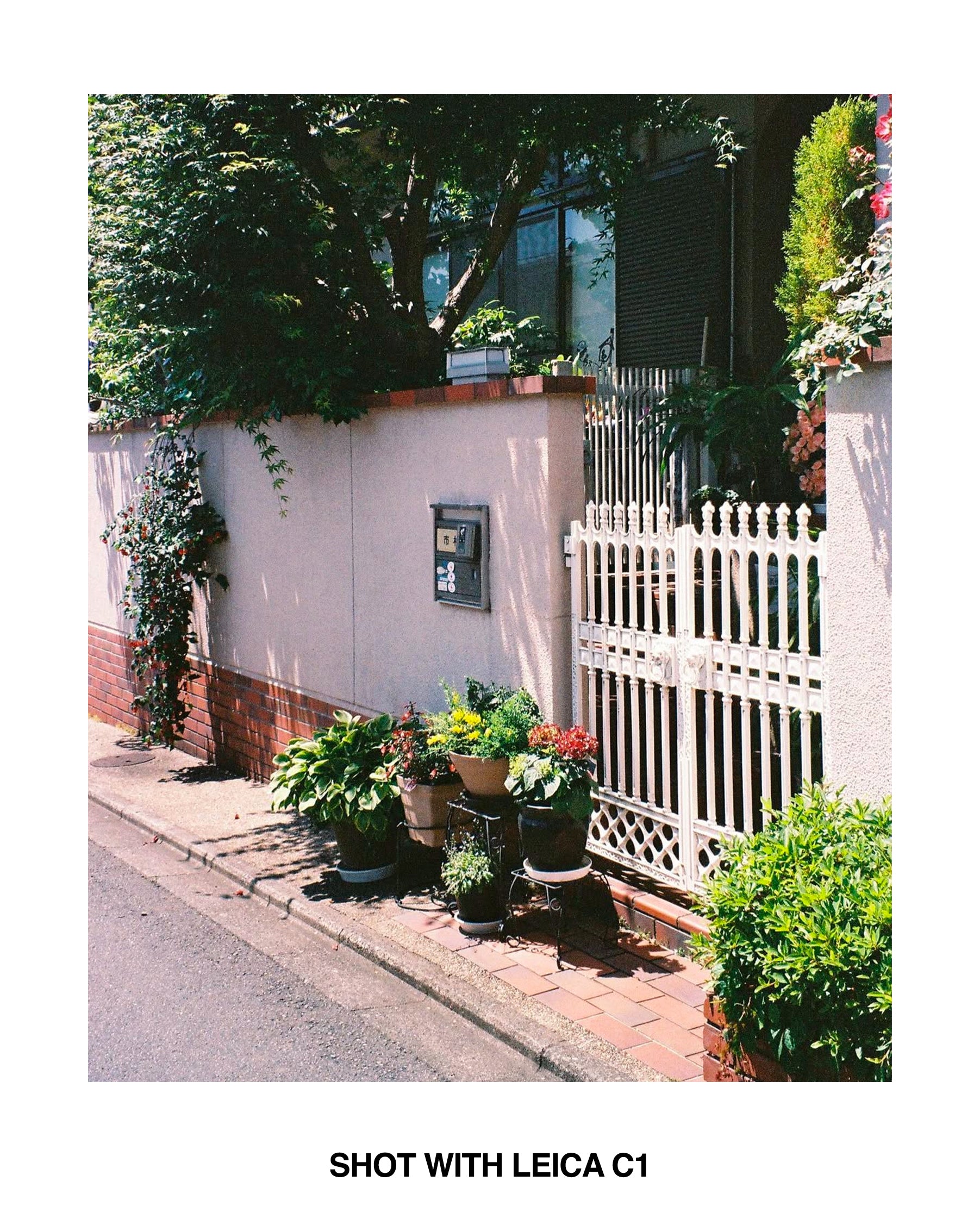 Leica C1