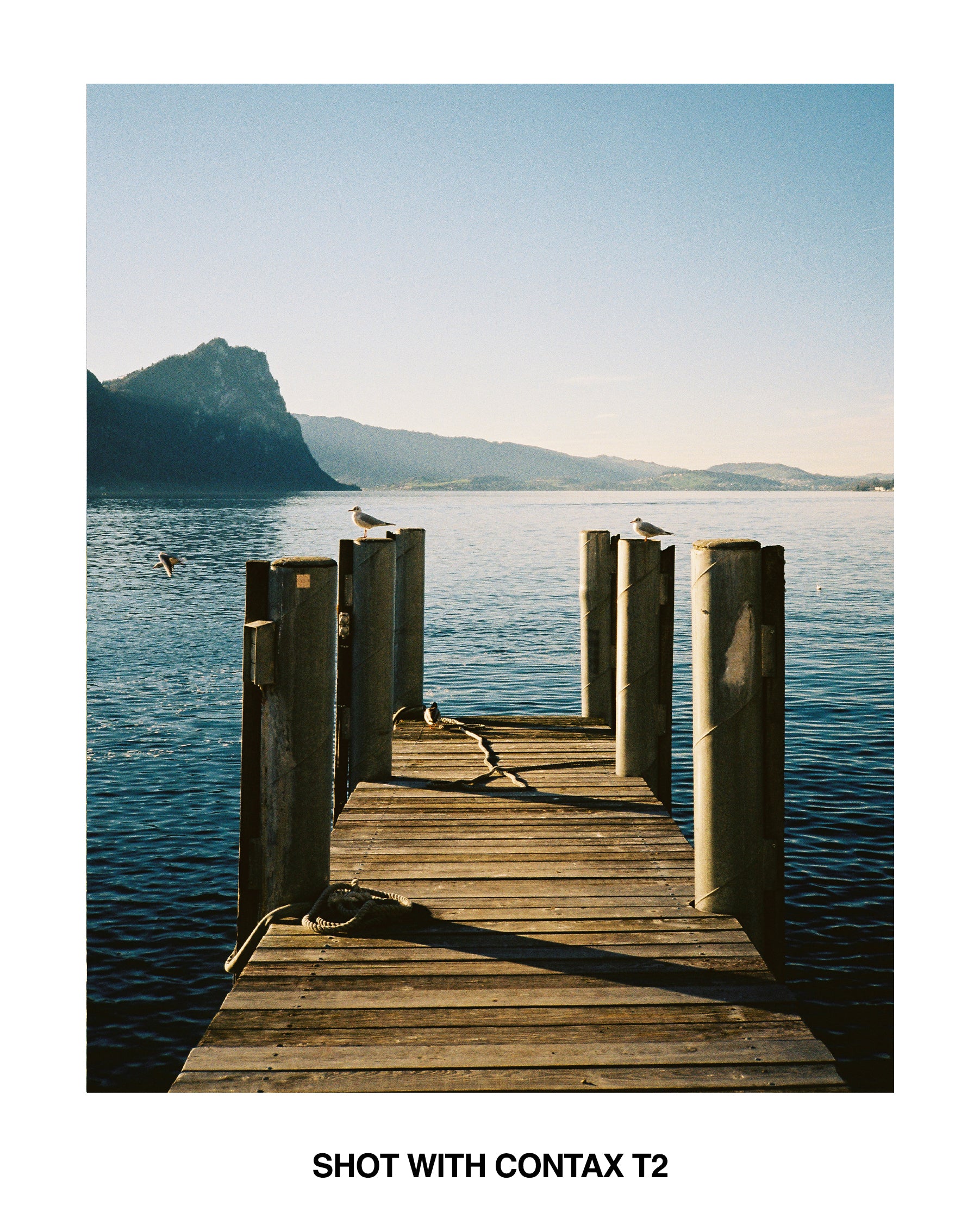Contax T2