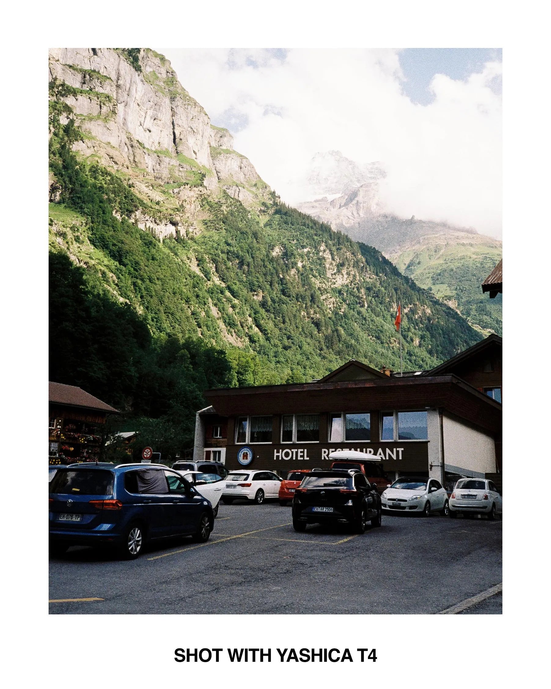Yashica T4 Safari